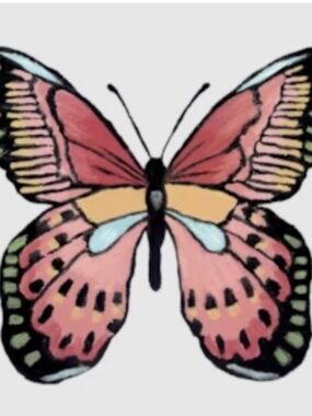 Meet your Posher, Jo